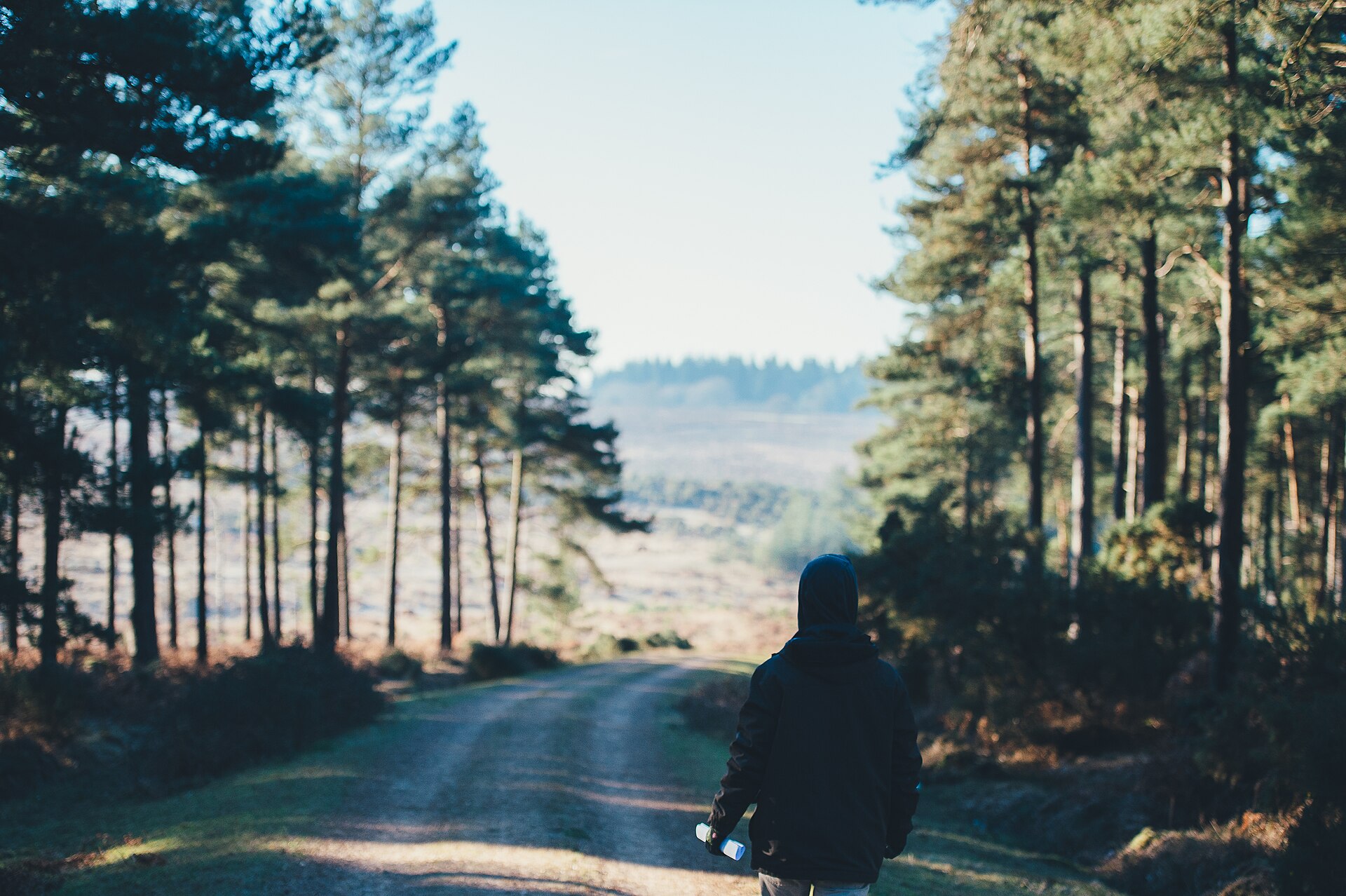 A walker on a quiet tree-lined road in the New Forest